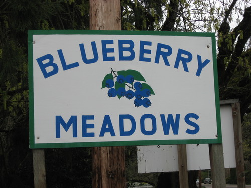 OT---Blueberry-Meadows.jpeg
