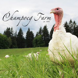 champoeg-farm.jpg