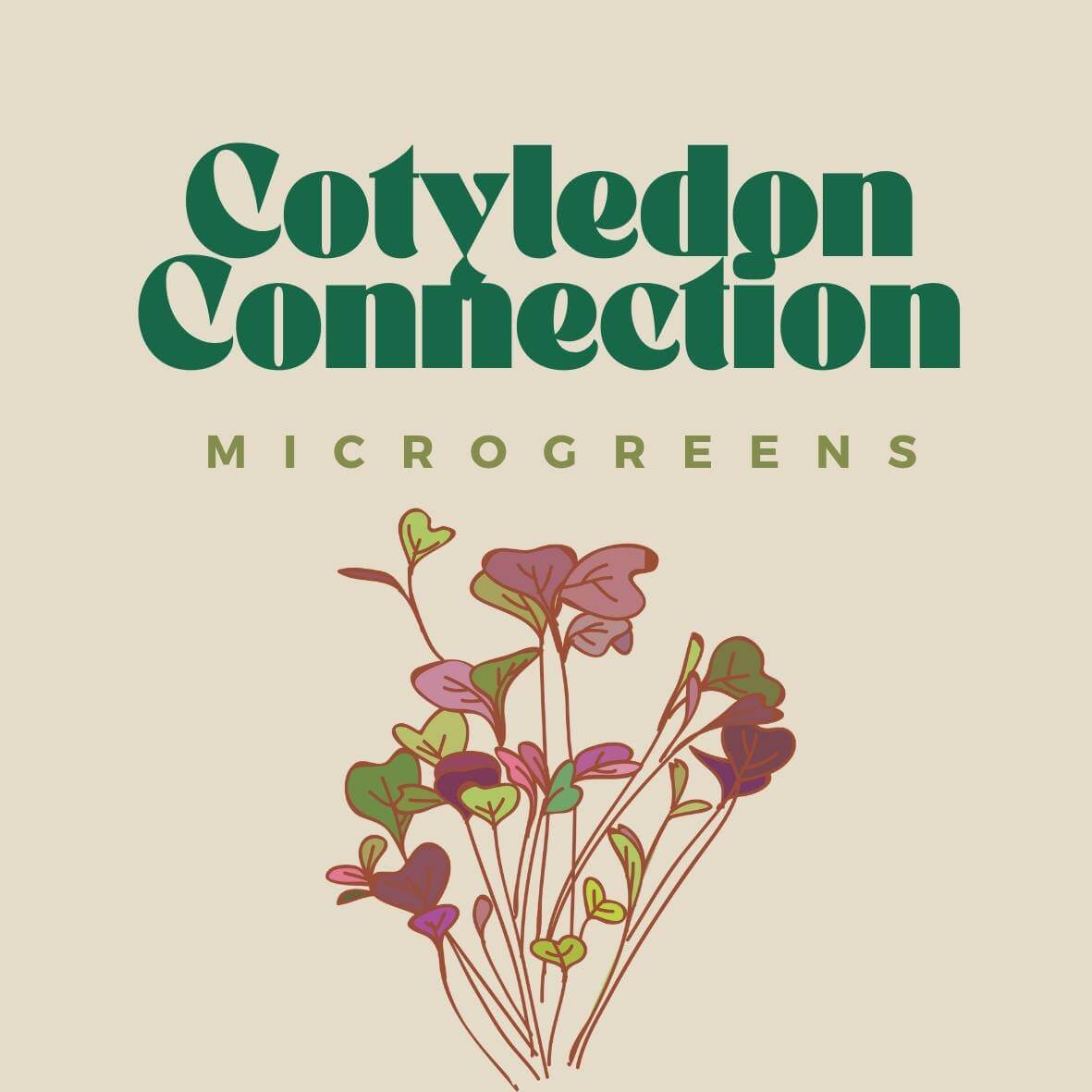 cotyledon_connection.jpg