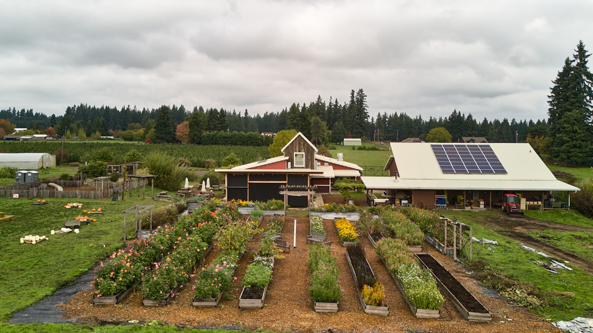 farm-overhead_small-1753824001.jpg