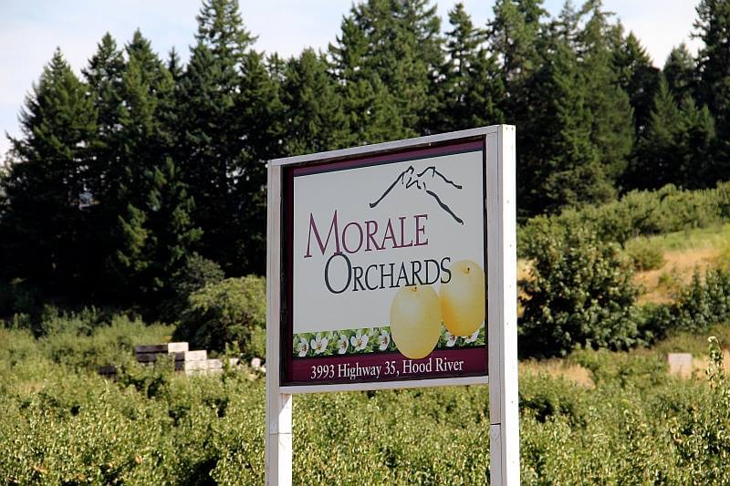 morale-orchards.jpg