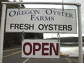 oregon-oyster-farms.jpg