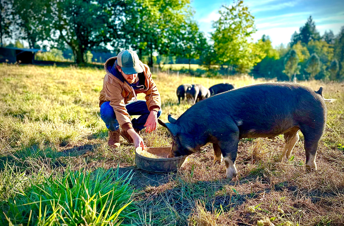 pdx-pork.jpeg