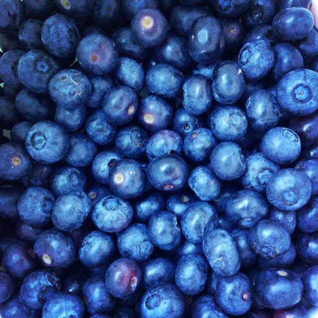 valentine-blueberries.jpg