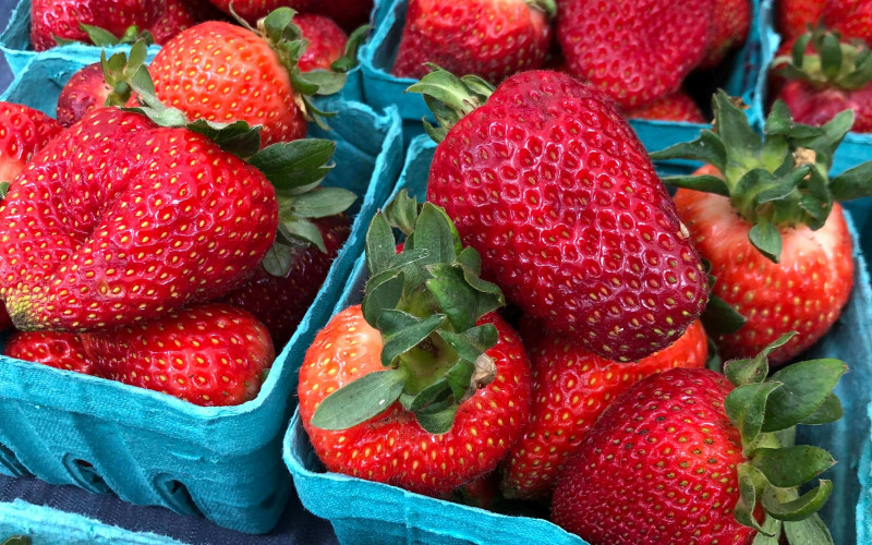 Photo of Albion strawberries at Groundwork Organics at Portland Farmers Market