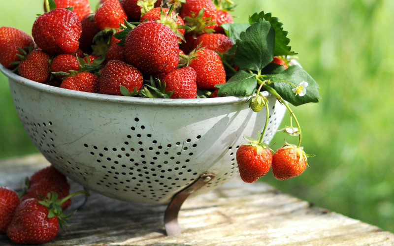 Oregon strawberries photo by Unsplash